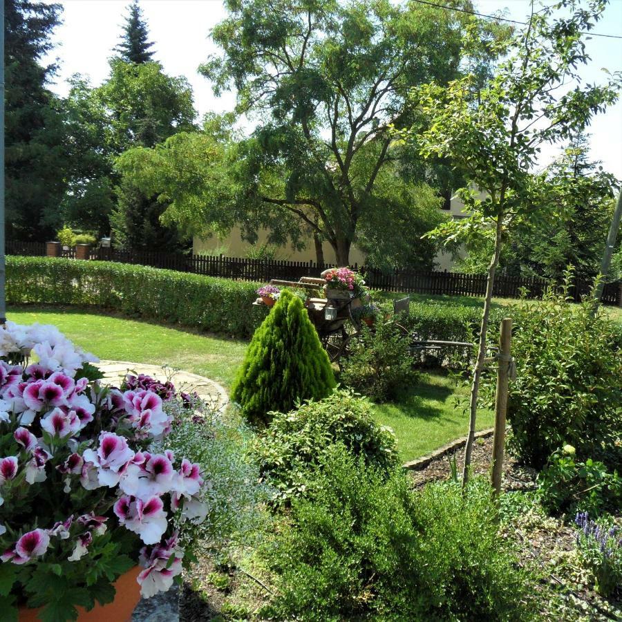 Herrenhaus Kunzwerda Bei Torgau - Aparthotel, Boardinghouse, Wohnen Auf Zeit Zewnętrze zdjęcie