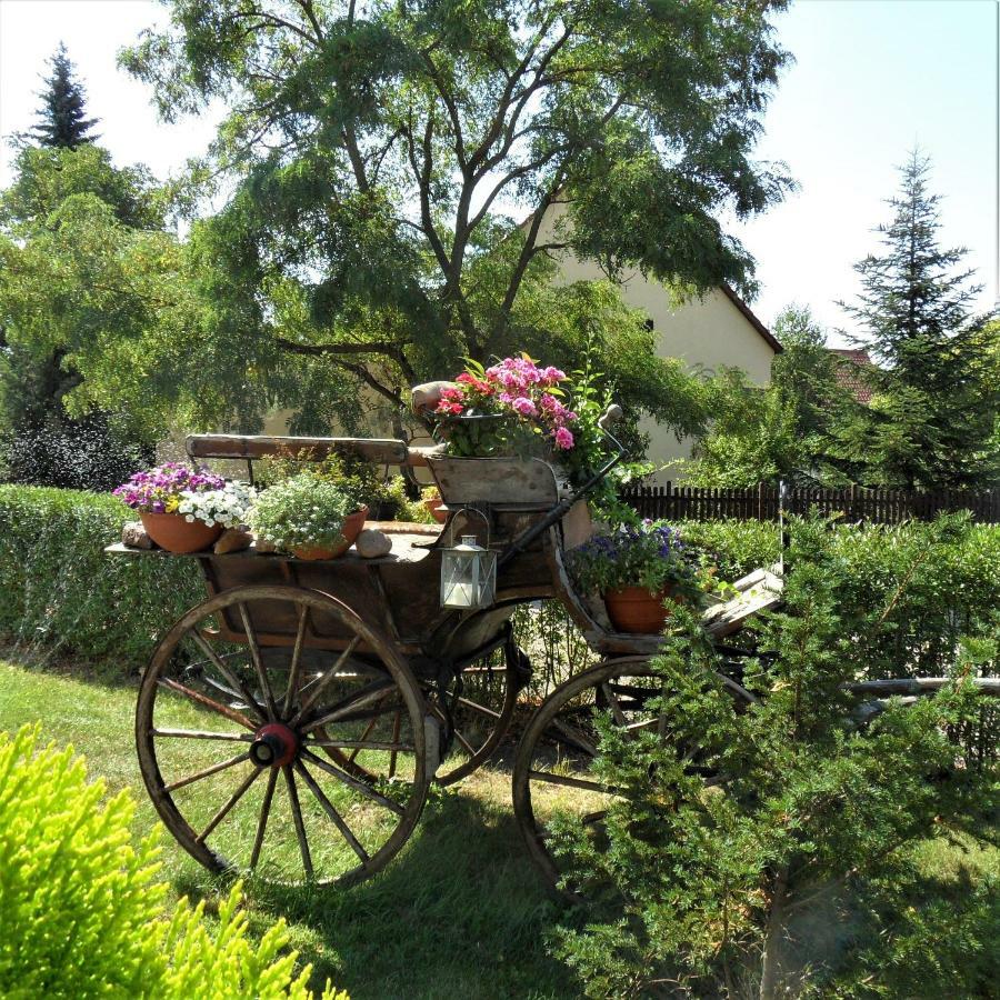Herrenhaus Kunzwerda Bei Torgau - Aparthotel, Boardinghouse, Wohnen Auf Zeit Zewnętrze zdjęcie